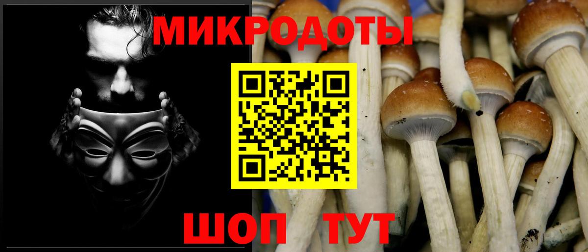 Псилоцибиновые грибы Cubensis Челябинск